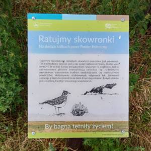 Wieża widokowa przy Żółtej Drodze - wieza widokowa przy zoltej drodze 6