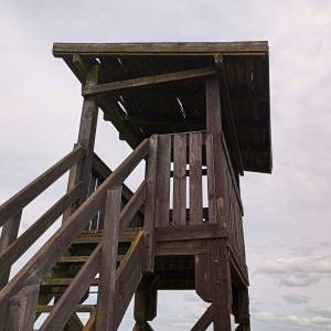 Wieża widokowa przy Żółtej Drodze - wieza widokowa przy zoltej drodze 7