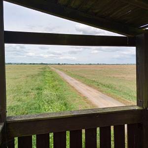 Wieża widokowa przy Żółtej Drodze - wieza widokowa przy zoltej drodze 8