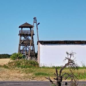 Wieża widokowa w Pniewie - wieza widokowa w pniewie 1