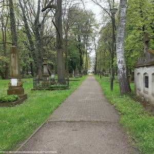 Stary Cmentarz w Rzeszowie - old cemetery in rzeszow 2023a