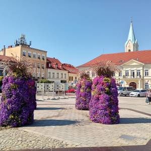 Rynek w Oświęcimiu - img 20240814 150504484 hdr