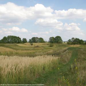 Zespół historyczny Wiślicy wraz z grodziskiem - wislica grodzisko 20070825 1456