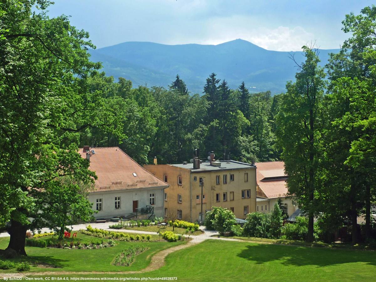 Dawny folwark w Bukowcu - buchwald park 2