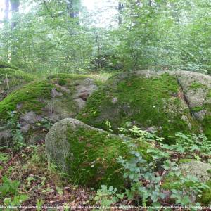 Krąg Druidów w Bukowcu - krag druidow w bukowcu 1