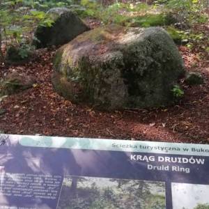 Krąg Druidów w Bukowcu - krag druidow w bukowcu 5