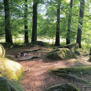 Krąg Druidów w Bukowcu - krag druidow w bukowcu 6