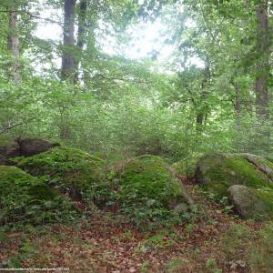 Krąg Druidów w Bukowcu - krag druidow w bukowcu 7