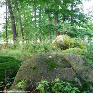 Krąg Druidów w Bukowcu - krag druidow w bukowcu 8