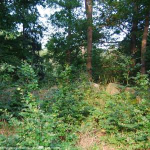 Krąg Druidów w Bukowcu - krag druidow w bukowcu 9