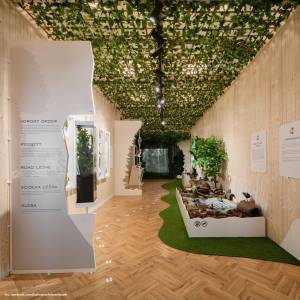 Muzeum "Tajemniczy Las" w Bukowcu - muzeum tajemniczy las w bukowcu 1