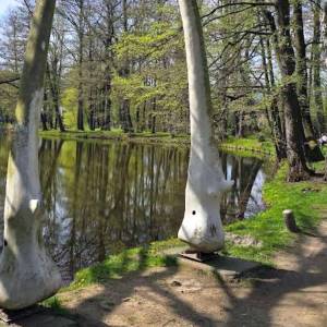 Park w Mysłakowicach - park w myslakowicach 1