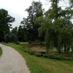Park pałacowy w Wojanowie - park palacowy w wojanowie 18