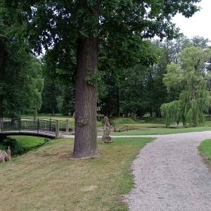 Park pałacowy w Wojanowie - park palacowy w wojanowie 4