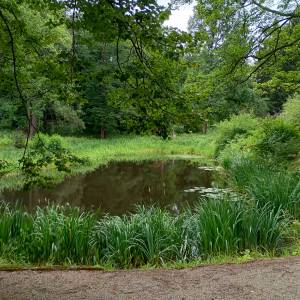 Park krajobrazowy w Staniszowie - park krajobrazowy w staniszowie 3
