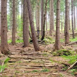 Grób lotników przy drodze Sudeckiej - grob lotnikow przy drodze sudeckiej 1