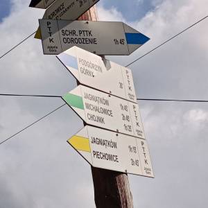 Kamień Waloński w Przesiece - kamien walonski w przesiece 1