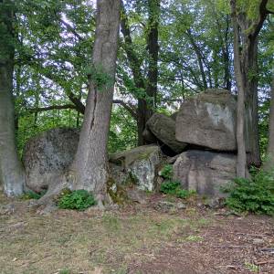 Kamień Waloński w Przesiece - kamien walonski w przesiece 3