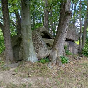 Kamień Waloński w Przesiece - kamien walonski w przesiece 4