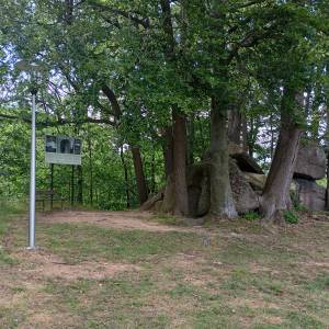 Kamień Waloński w Przesiece - kamien walonski w przesiece 5