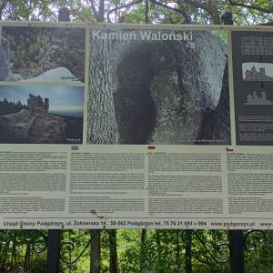 Kamień Waloński w Przesiece - kamien walonski w przesiece 6