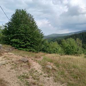 Złoty Widok w Przesiece - zloty widok w przesiece 2