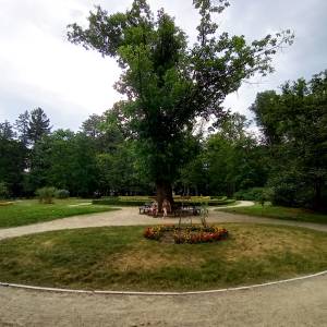 Park Zdrojowy w Cieplicach Śląskich-Zdroju - park zdrojowy w cieplicach slaskich zdroju 41