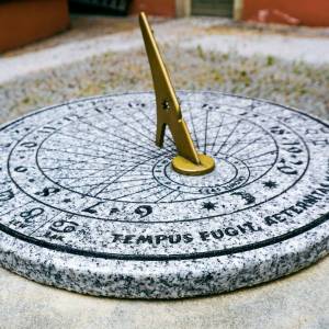 Muzeum Przyrodnicze w Jeleniej Górze - muzeum przyrodnicze w jeleniej gorze 11