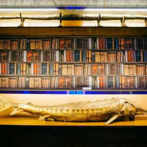 Muzeum Przyrodnicze w Jeleniej Górze - muzeum przyrodnicze w jeleniej gorze 7