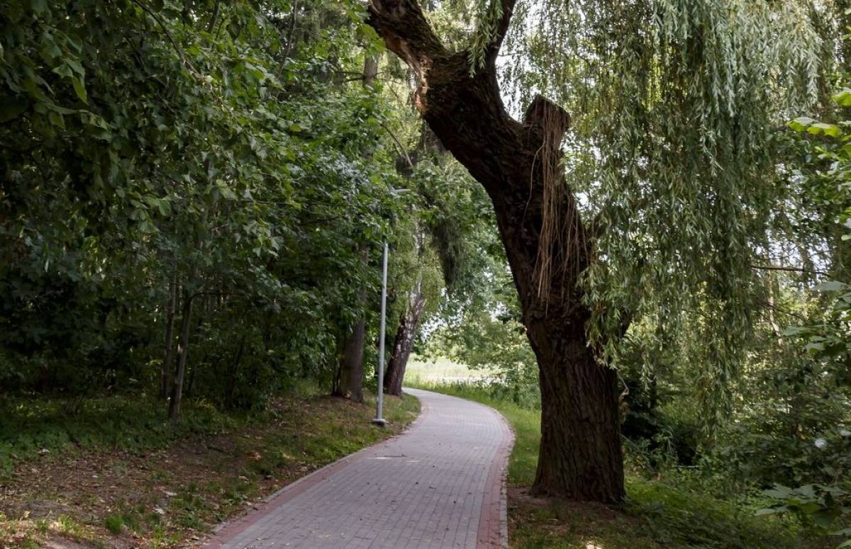 Deptak miejski wokół Jeziora Sztumskiego - Atrakcje turystyczne ...