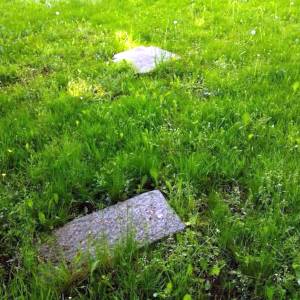 Cmentarz żydowski w Jeleniej Górze - cmentarz zydowski w jeleniej gorze 6