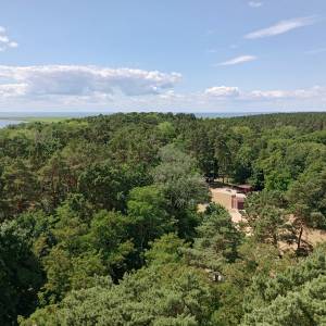 Wieża widokowa w Wolinie - wieza widokowa w wolinie 53