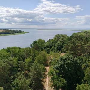 Wieża widokowa w Wolinie - wieza widokowa w wolinie 54