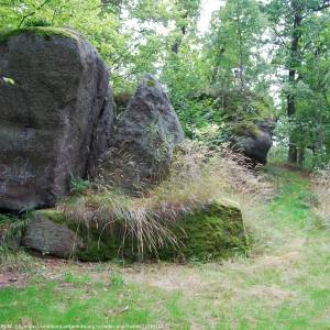 Park Paulinum w Jeleniej Górze - park paulinum w jeleniej gorze 2