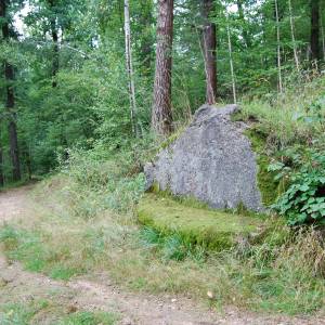 Park Paulinum w Jeleniej Górze - park paulinum w jeleniej gorze 3