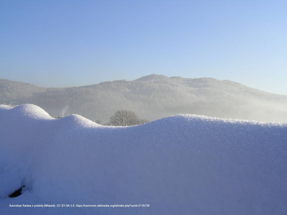 Góra Ptasia Kopa (590 m n.p.m) - ptasia kopa1