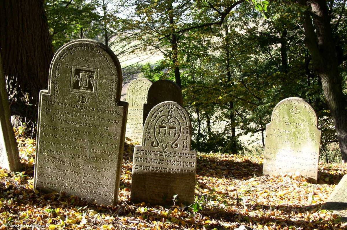 Cmentarz żydowski w Białej - cmentarz zydowski w biale 3