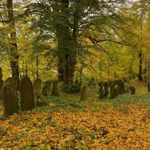 Cmentarz żydowski w Białej - cmentarz zydowski w biale 1