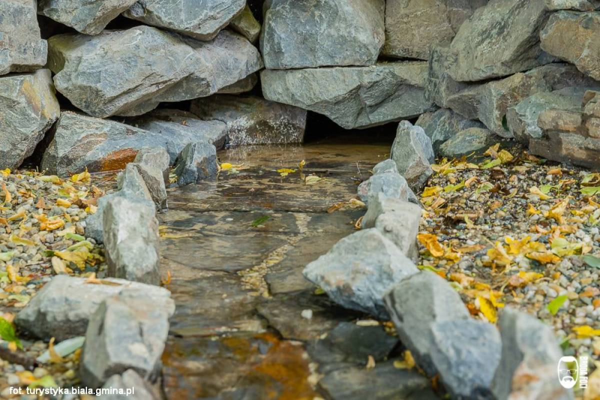 Źródełko pod św. lipą w Białej - 2