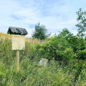 Krzyż pokutny w Siedlęcinie - krzyz pokutny w siedlecinie 2