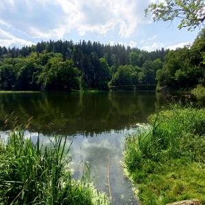 Jezioro Modre w Dolinie Bobru - jezioro modre w dolinie bobru 9