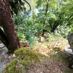 Grupa skalna Wieżyca w Dolinie Bobru - grupa skalna wiezyca w dolinie bobru 1