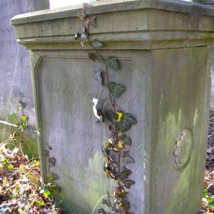 Cmentarz żydowski w Brzegu - cmentarz zydowski w brzegu 1