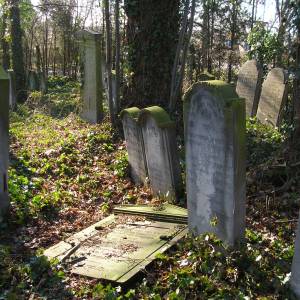 Cmentarz żydowski w Brzegu - cmentarz zydowski w brzegu 4