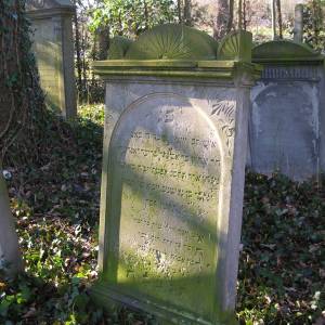 Cmentarz żydowski w Brzegu - cmentarz zydowski w brzegu 5