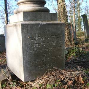 Cmentarz żydowski w Brzegu - cmentarz zydowski w brzegu 6