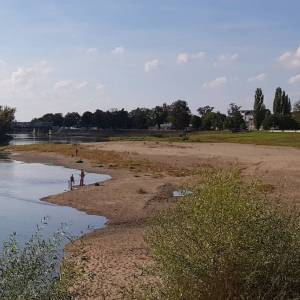 Miejska plaża nad Odrą w Brzegu - miejska plaza nad odra w brzegu 1