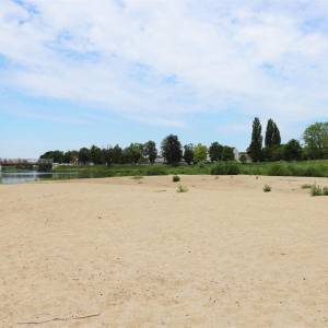 Miejska plaża nad Odrą w Brzegu - miejska plaza nad odra w brzegu 3