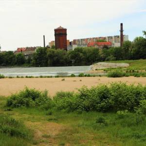 Miejska plaża nad Odrą w Brzegu - miejska plaza nad odra w brzegu 4