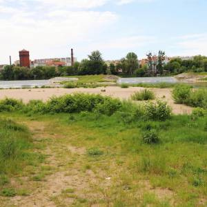 Miejska plaża nad Odrą w Brzegu - miejska plaza nad odra w brzegu 7